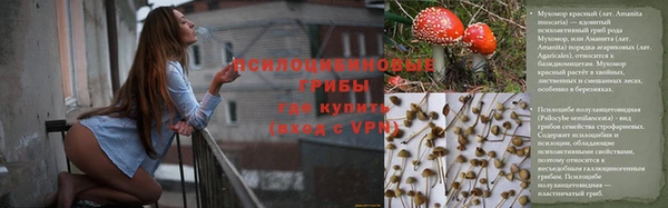 твердый Краснослободск