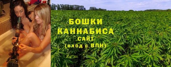 твердый Краснослободск