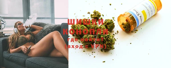 твердый Краснослободск