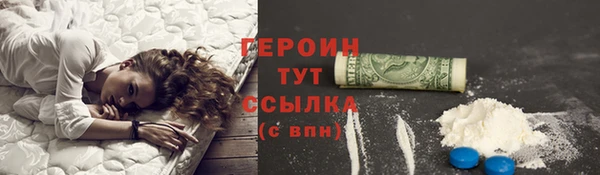твердый Краснослободск