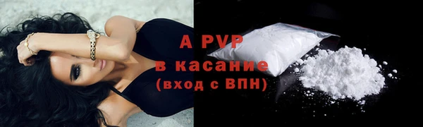 твердый Краснослободск