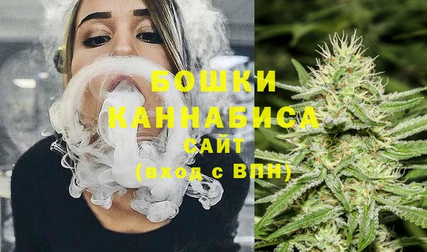твердый Краснослободск