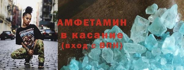 твердый Краснослободск
