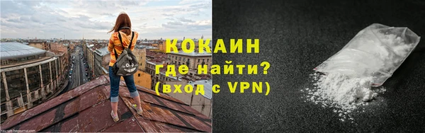 твердый Краснослободск