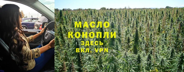 твердый Краснослободск
