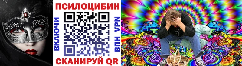 Купить закладки  Теберда  Псилоцибиновые грибы Psilocybe 